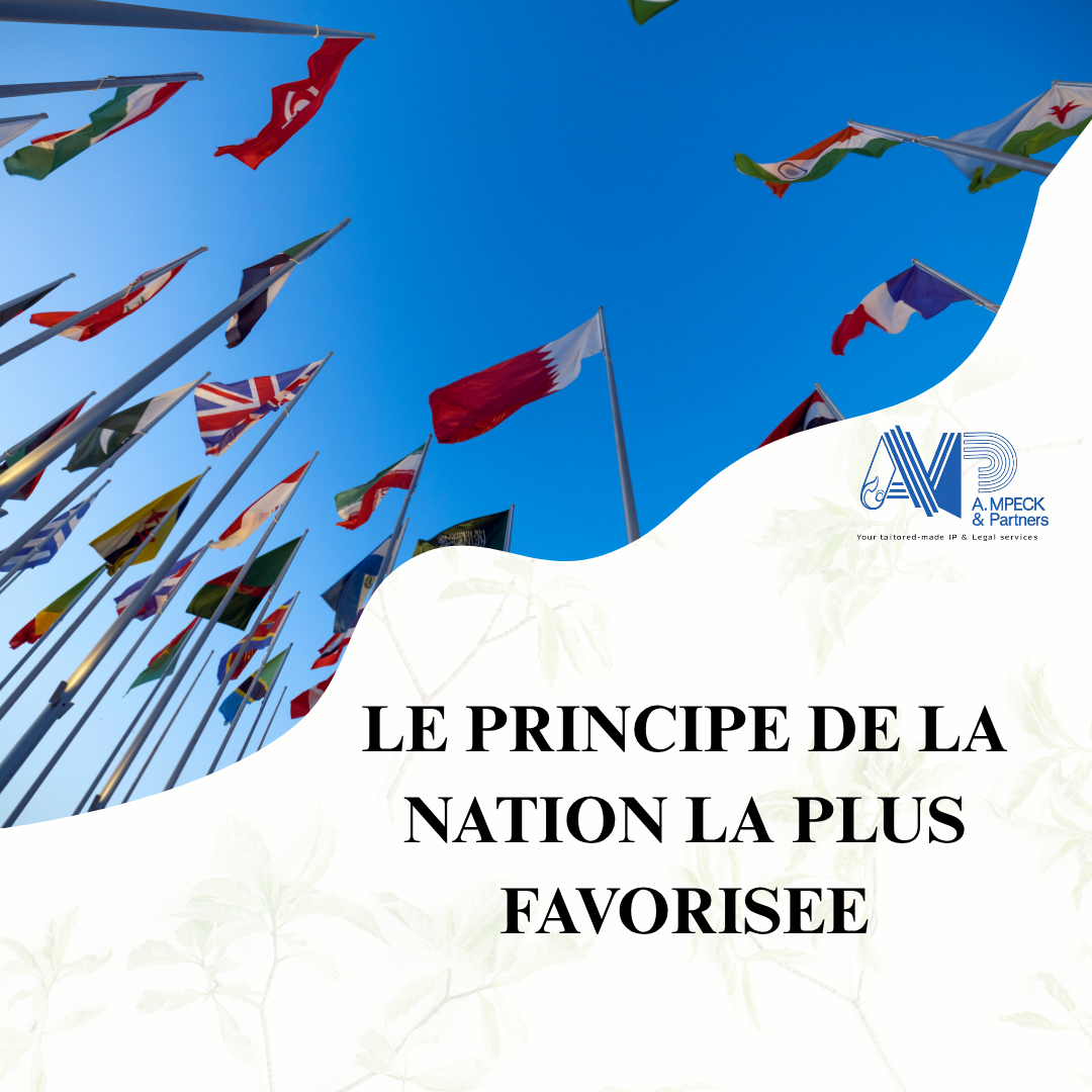 Les principes directeurs du droit international de la propriété intellectuelle : le principe de la nation la plus favorisée